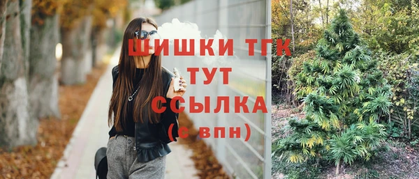 прущий лед Абаза