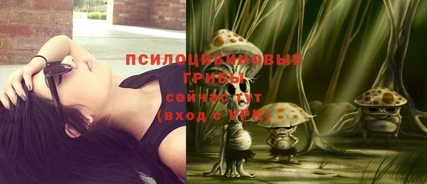 шишки Алзамай