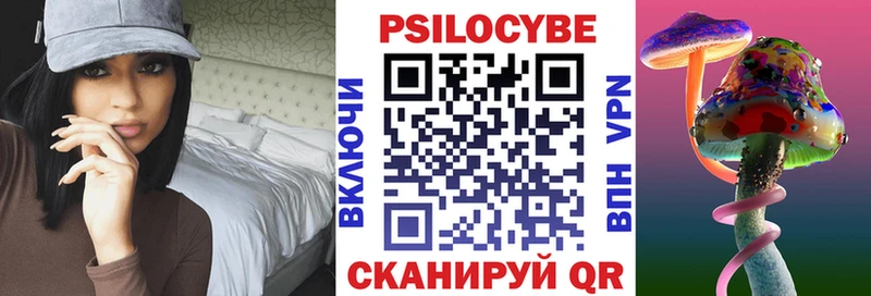 купить закладку  Таштагол  Псилоцибиновые грибы мицелий 