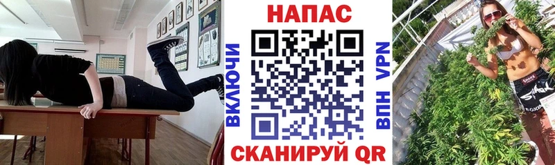закладка  Таштагол  Каннабис White Widow 
